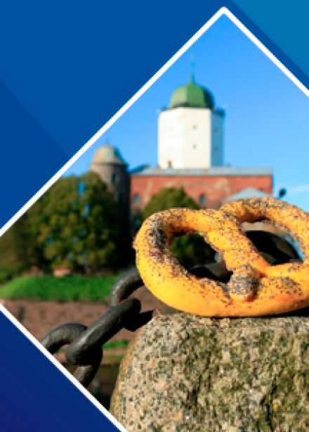 Тайны Средневекового Выборга