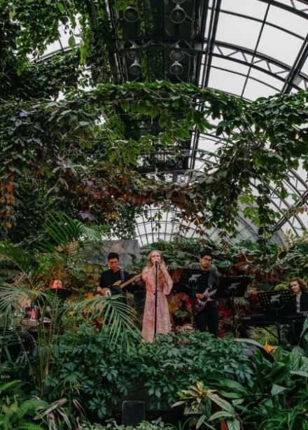 Музыка в оранжерее