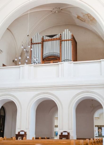 Цикл концертов «Время органа»