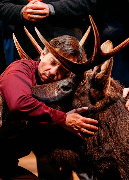 Утиная охота