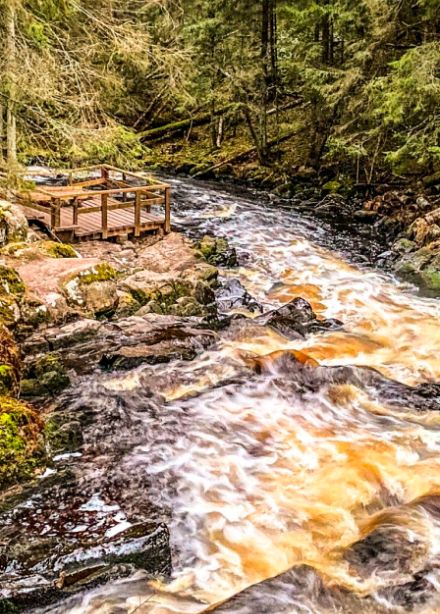 Тур на 1 день «Карельский колорит: долина водопадов, лес, уха и музей в скале»