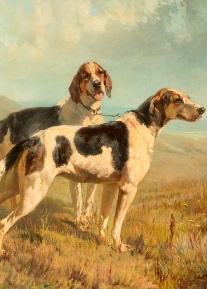 Жизнь замечательных собак