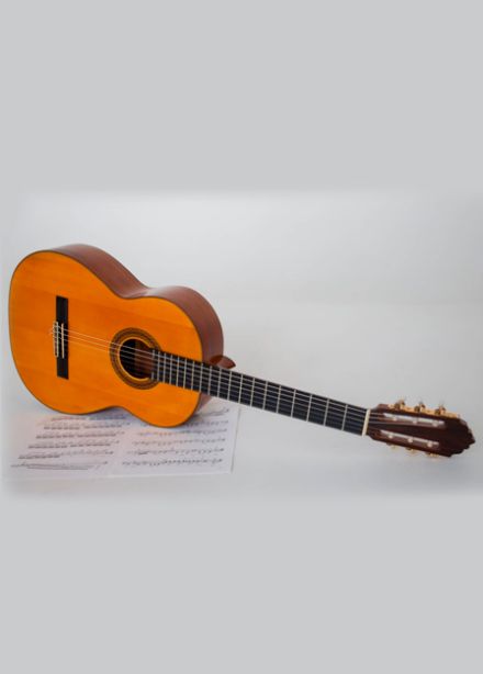 Концерт «Готовы струны, ждёт моя гитара»