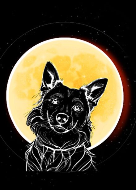 Звёздные псы