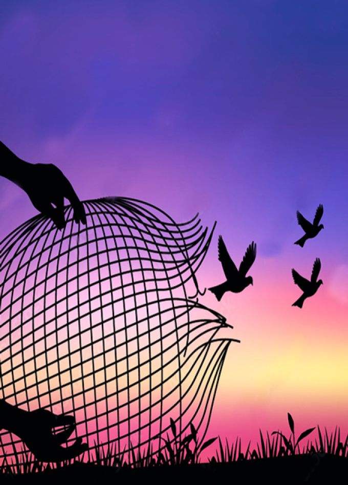 Зона комфорта