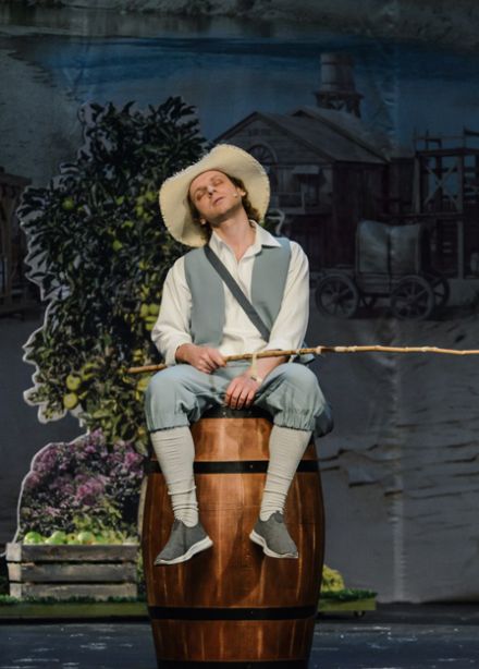 ПРИКЛЮЧЕНИЯ ТОМА СОЙЕРА