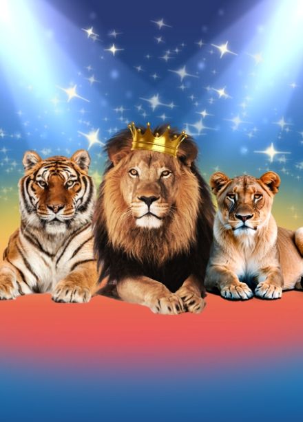 Цирк Виват - шоу "Империя хищников"