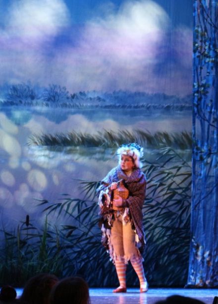 Гадкий утенок. Музыкальный театр "Карамболь"