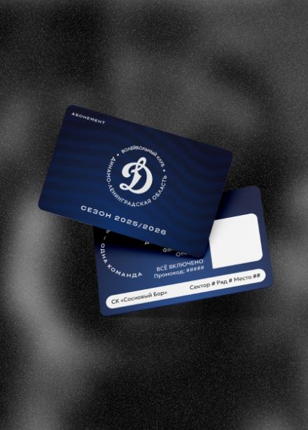 Матчи ВК "Динамо-ЛО"