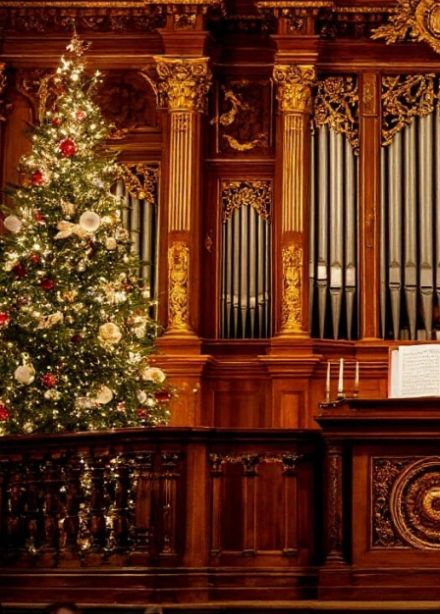 НОВОГОДНЯЯ КЛАССИКА НА ОРГАНЕ ПРИ СВЕЧАХ. В Соборе