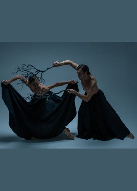 «МЕДИТАЦИЯ». ПРЕМЬЕРА