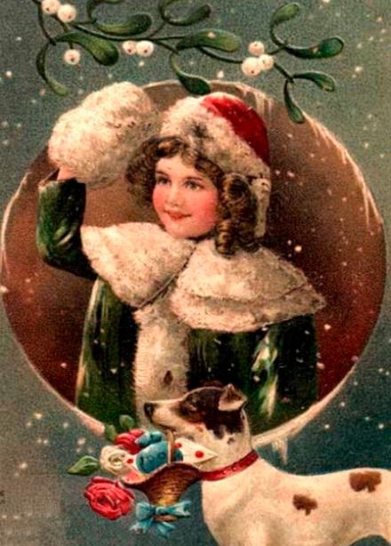 Входной билет "Новогодняя елка"2025 (сопровождающий)