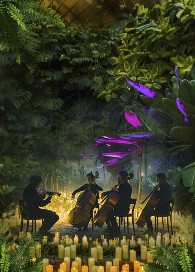 МАГИЯ СВЕЧЕЙ. “От Баха до Beatles" в Оранжерее