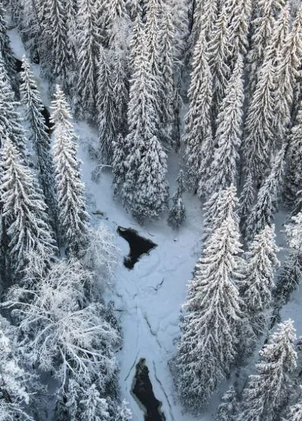 Снежная Карелия за 1 день: долина водопадов, древние крепости и животные севера