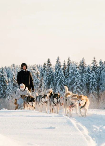 Тур на 1 день «Визит к Деду Морозу Джухани и величественная Рускеала»