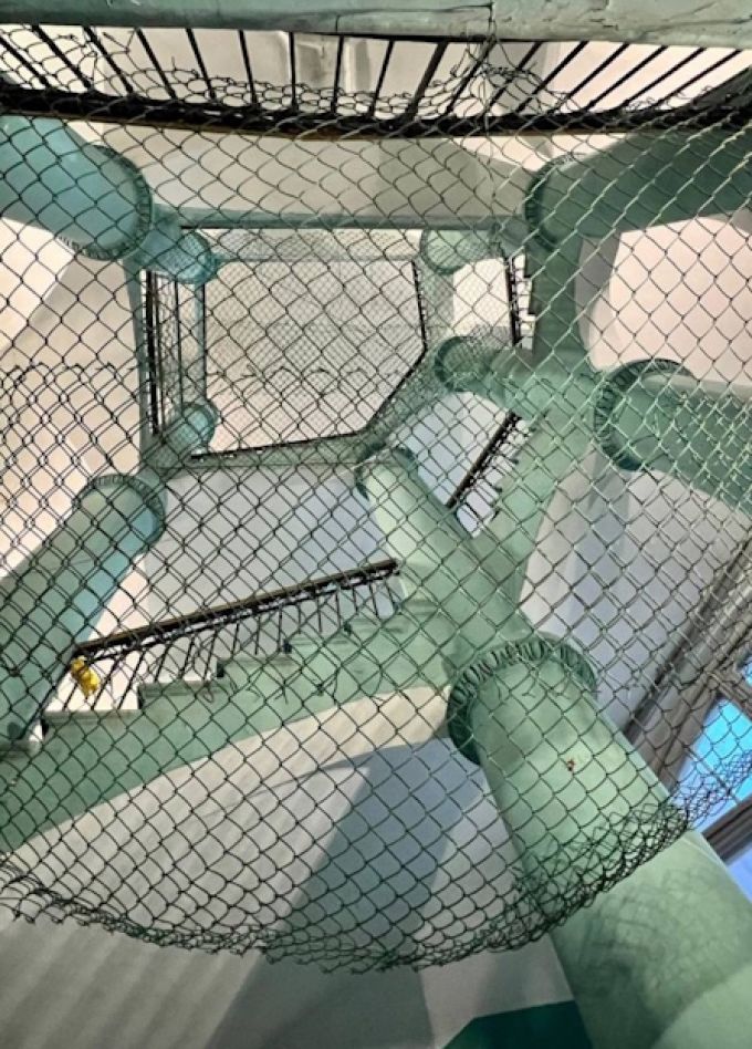 Экскурсия Неформальный микс с подъемом на смотровую площадку