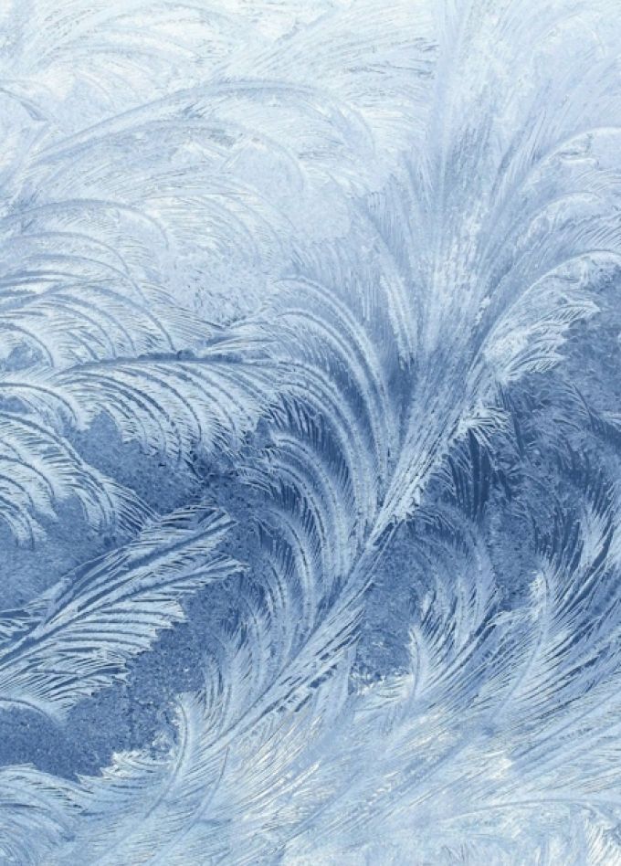 «Ювелирная сказка от Костромской Снегурочки» Выставка ювелирного искусства брендов Костромской области