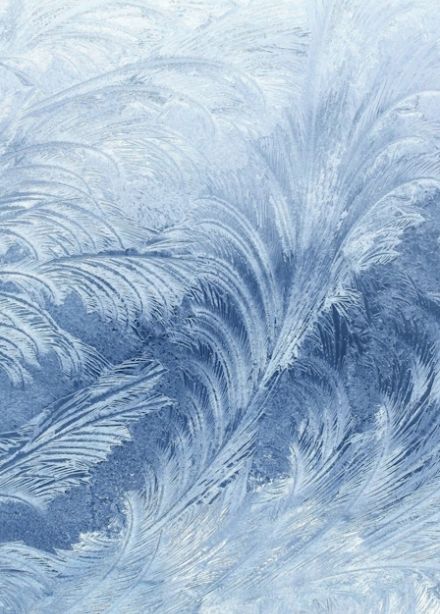 «Ювелирная сказка от Костромской Снегурочки» Выставка ювелирного искусства брендов Костромской области