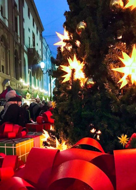 Новогодний Санкт-Петербург - автобусная экскурсия: ёлка у Эрмитажа, Невский, ярмарка