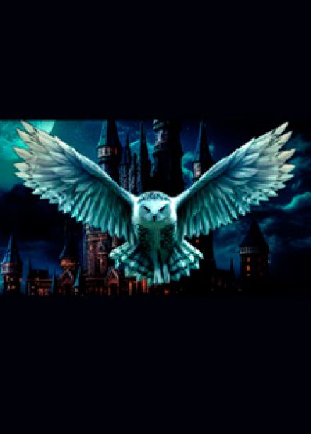 Гарри Поттер. Магическая музыка.