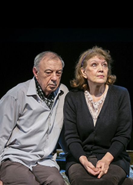 Земля Эльзы (Театр им. Ленсовета)